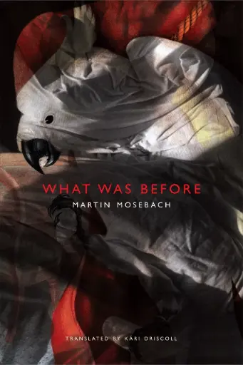 [9780857422149-1] What Was Before (HB)