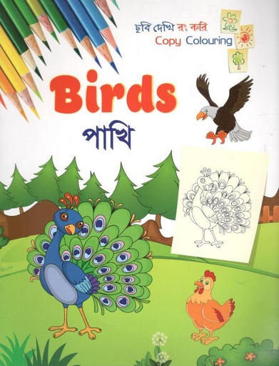 [9789849552864-1] পাখি : ছবি দেখি রং করি
