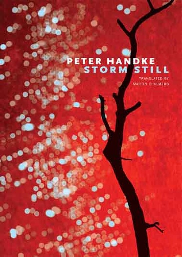 [9780857425584-1] Storm Still