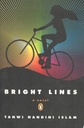 Bright Lines : a novel