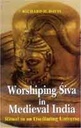 Worshiping Siva in Medieval India : Ritual in an Oscillating Universe