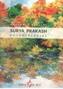 Abstract Reality Surya Prakash Retrospective