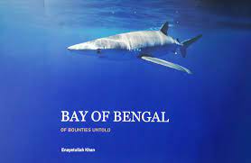 [9789843461414-1] Bay Of Bengal : Of Bounties Untold