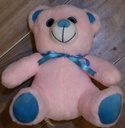 Super Small Teddy