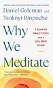 Why We Meditate : 7 Simple Practices for a Calmer Mind