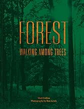 [9781911595267-1] Forest : Walking among trees